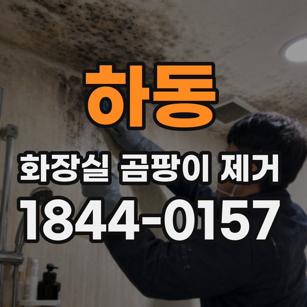 하동 화장실 곰팡이 제거