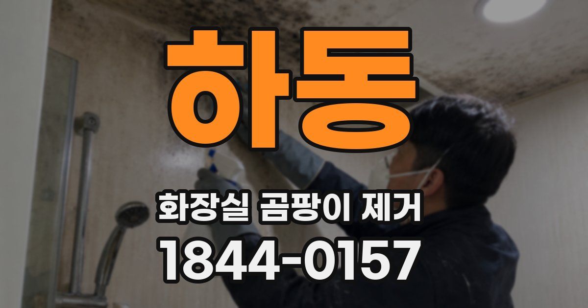 하동 화장실 곰팡이 제거