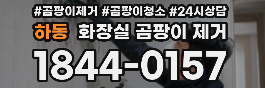 하동 화장실 곰팡이 제거