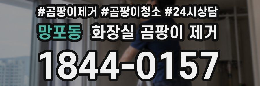 망포동 화장실 곰팡이 제거