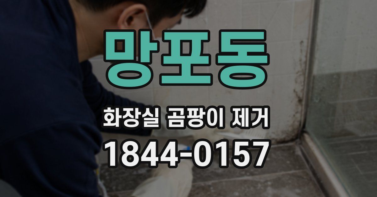 망포동 화장실 곰팡이 제거