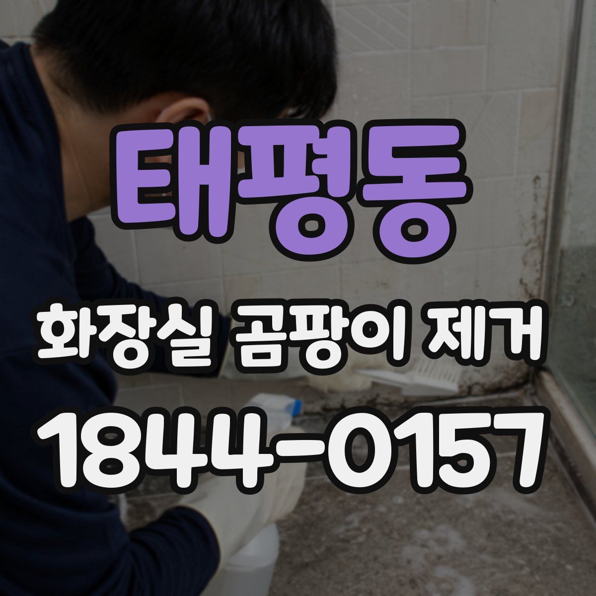 태평동 화장실 곰팡이 제거