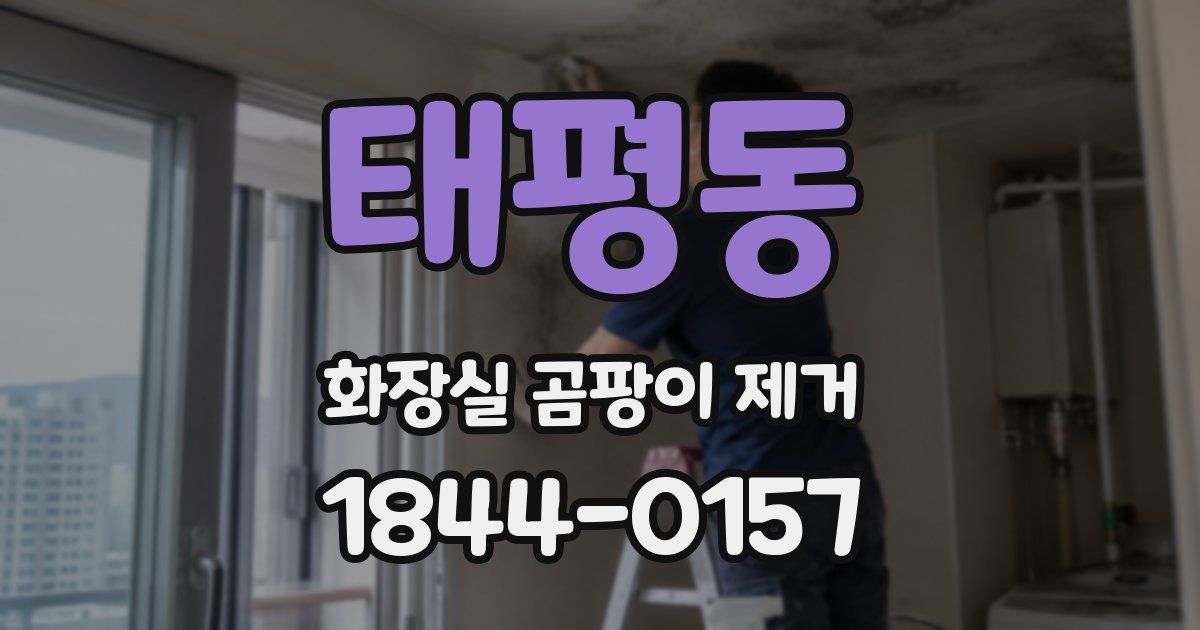 태평동 화장실 곰팡이 제거