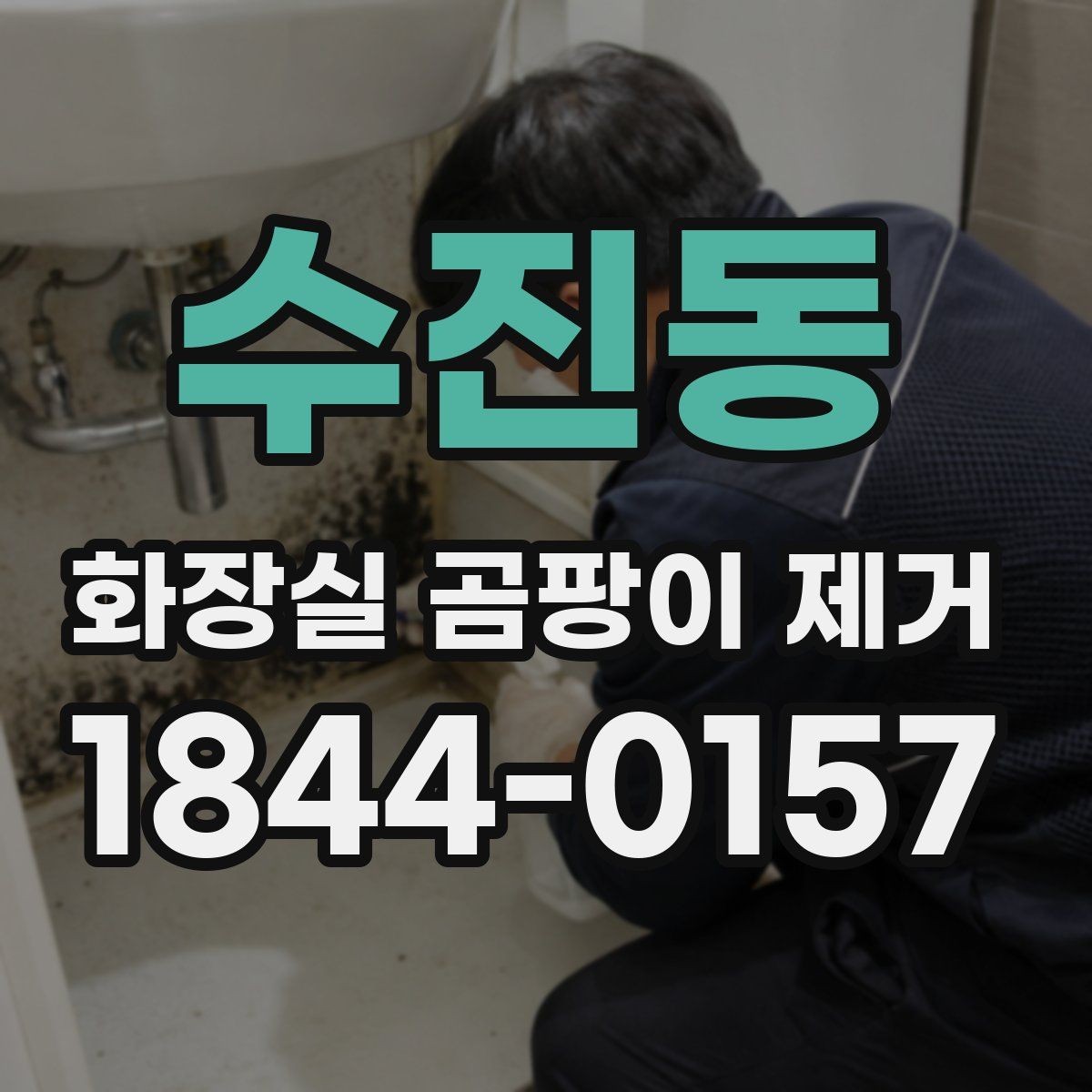 수진동 화장실 곰팡이 제거 재발 방지를 위한 환기와 건조 습관