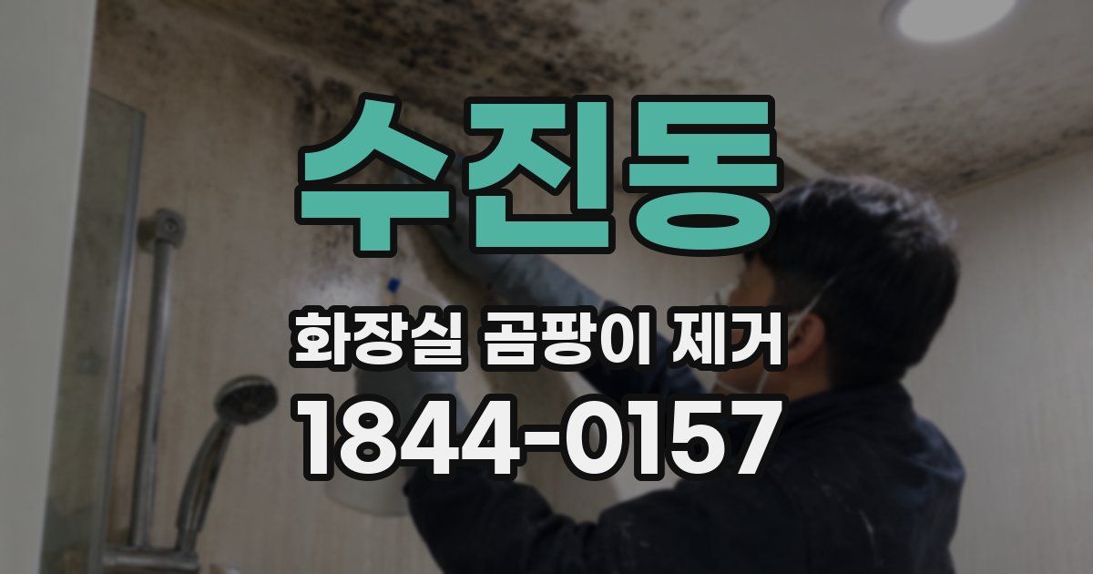 수진동 화장실 곰팡이 제거