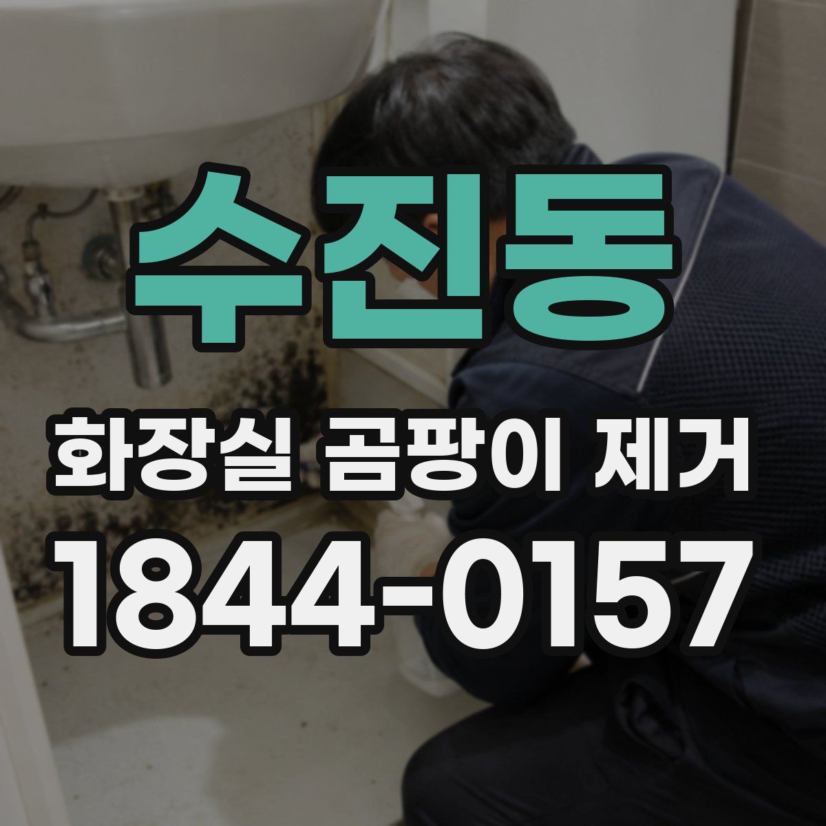 수진동 화장실 곰팡이 제거