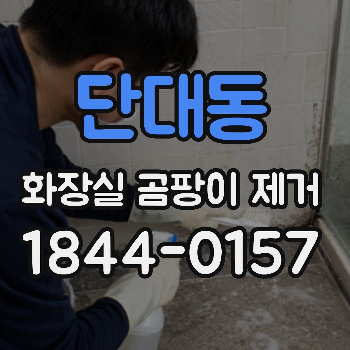 단대동 화장실 곰팡이 제거