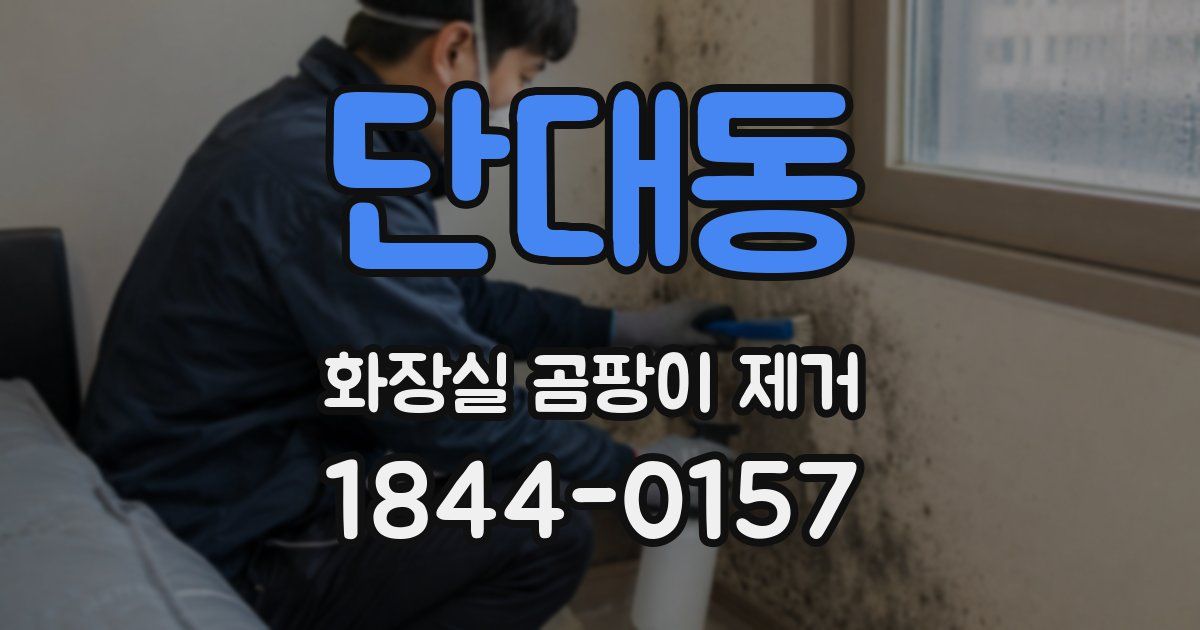 단대동 화장실 곰팡이 제거