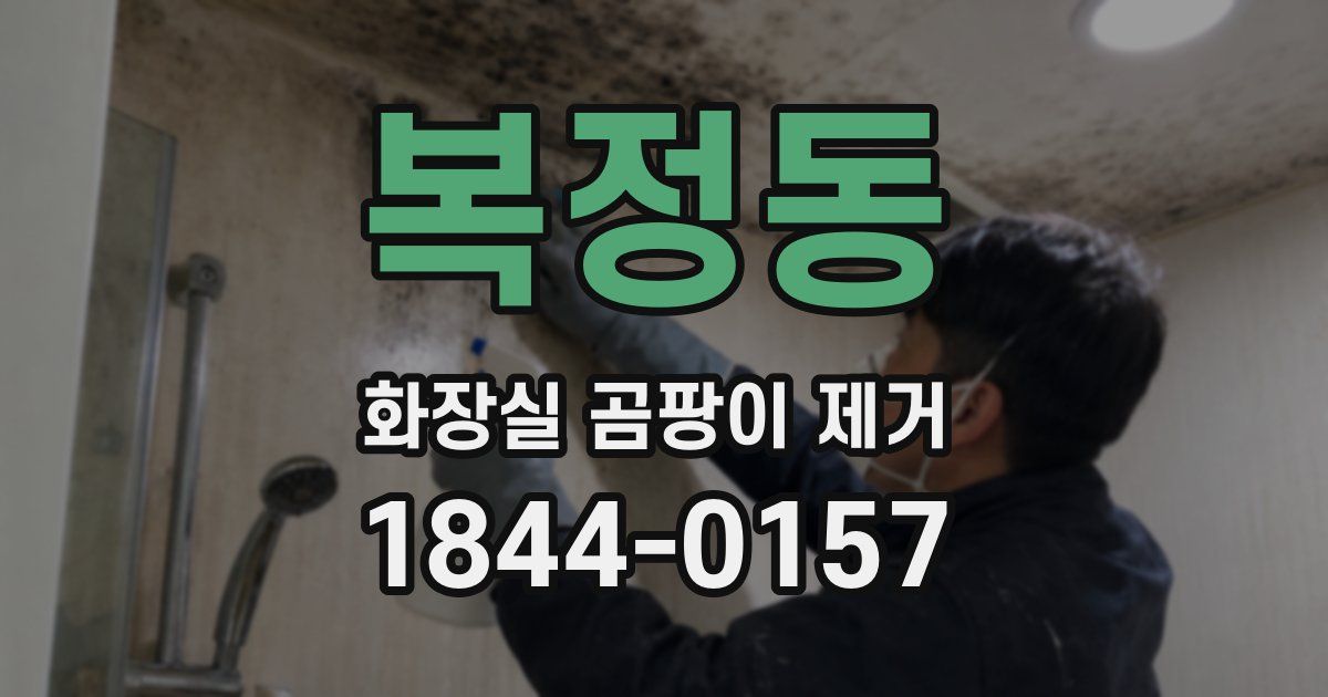 복정동 화장실 곰팡이 제거