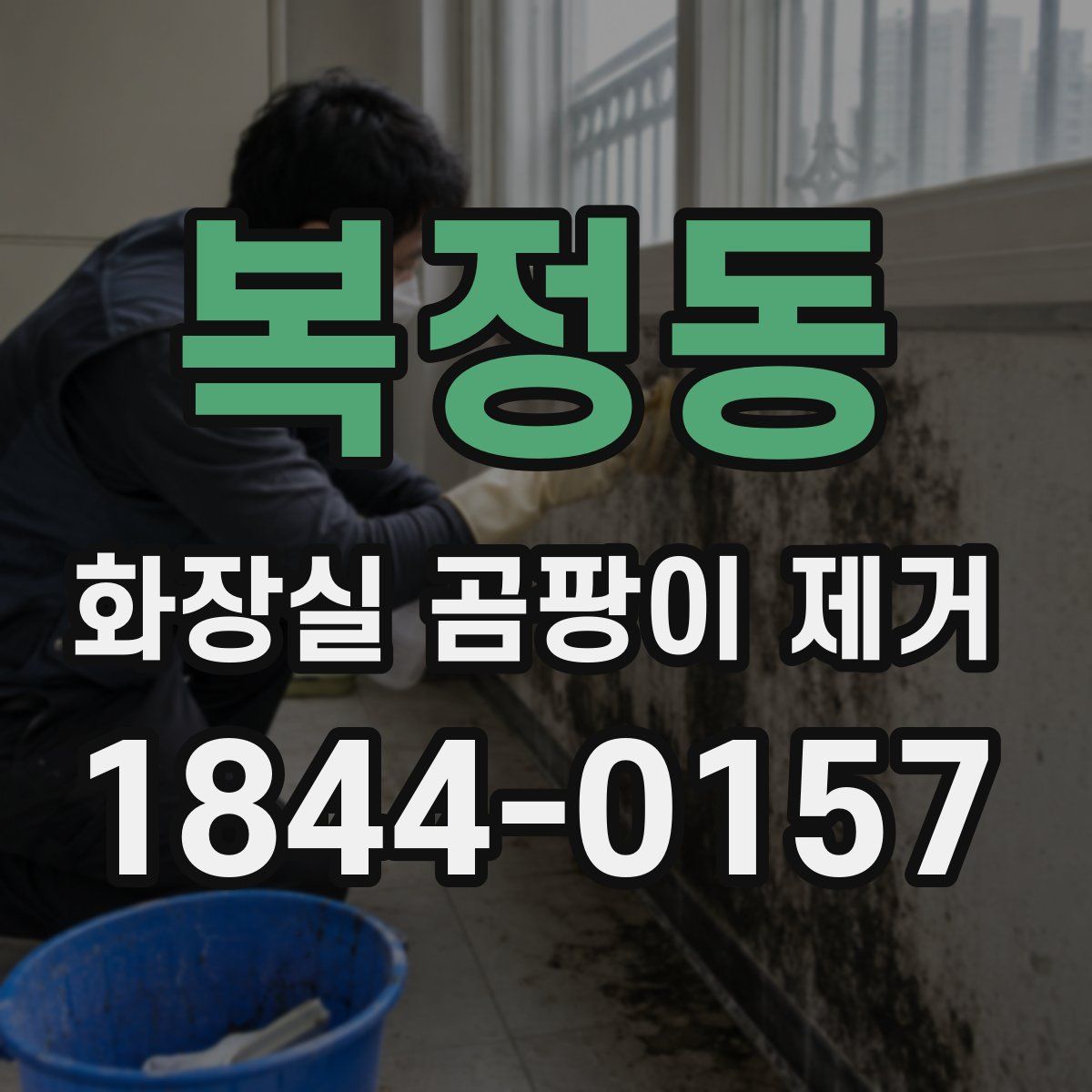 복정동 화장실 곰팡이 제거
