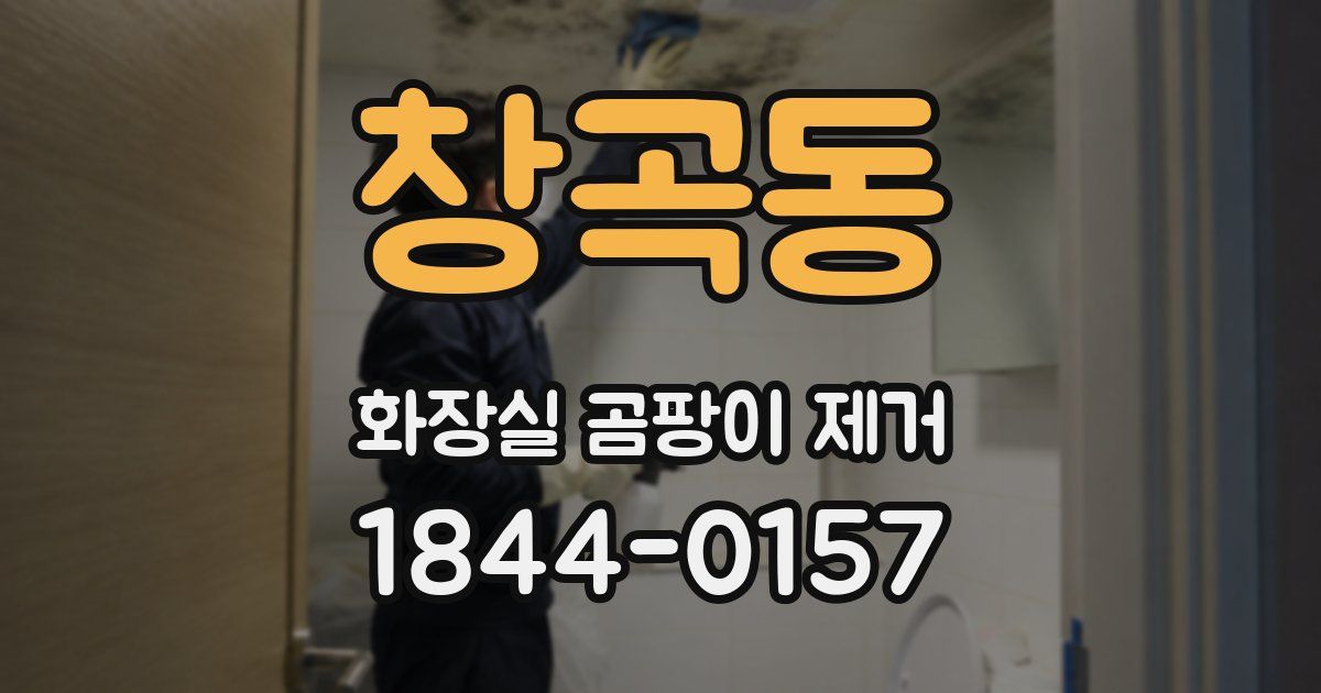 창곡동 화장실 곰팡이 제거