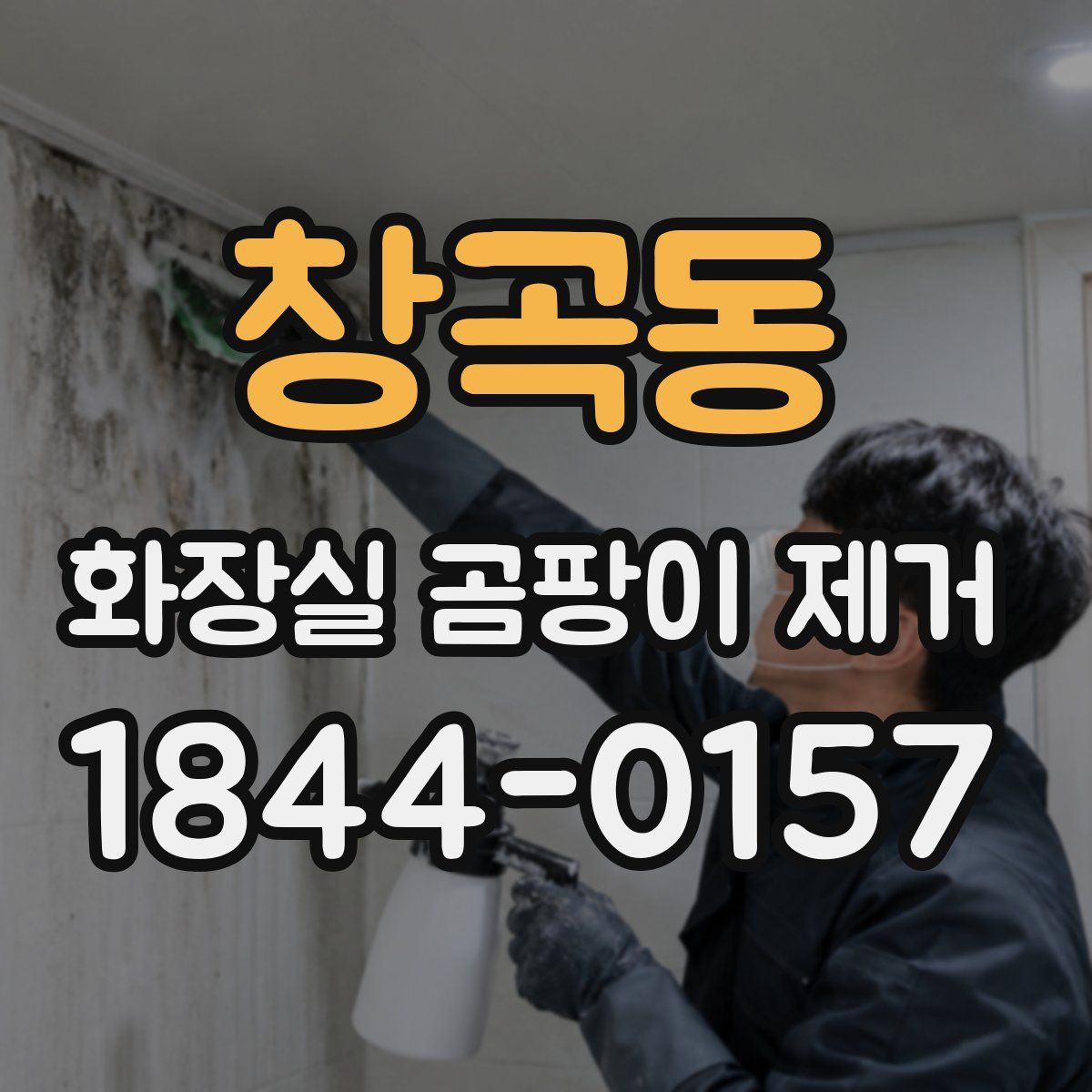 창곡동 화장실 곰팡이 제거