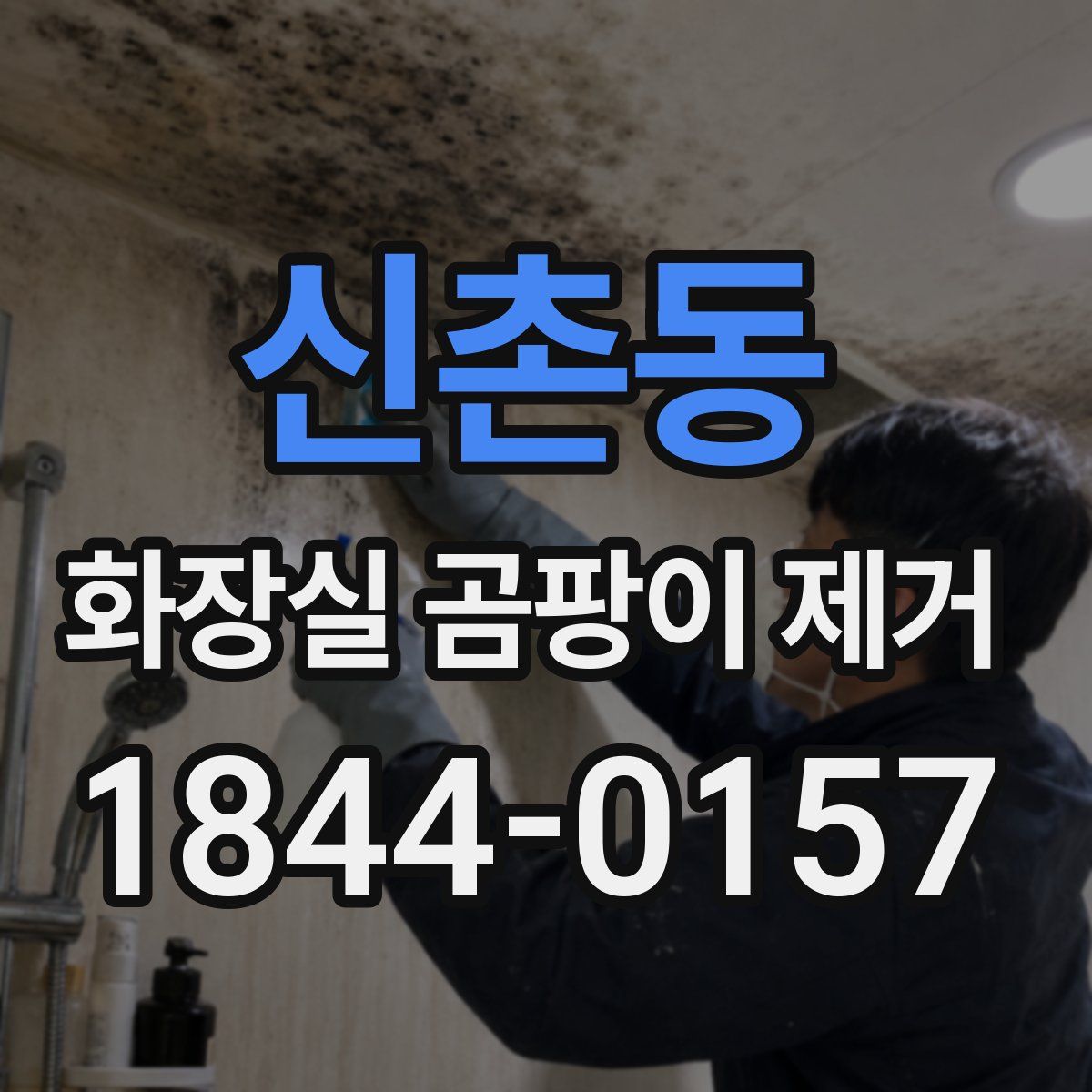 신촌동 화장실 곰팡이 제거