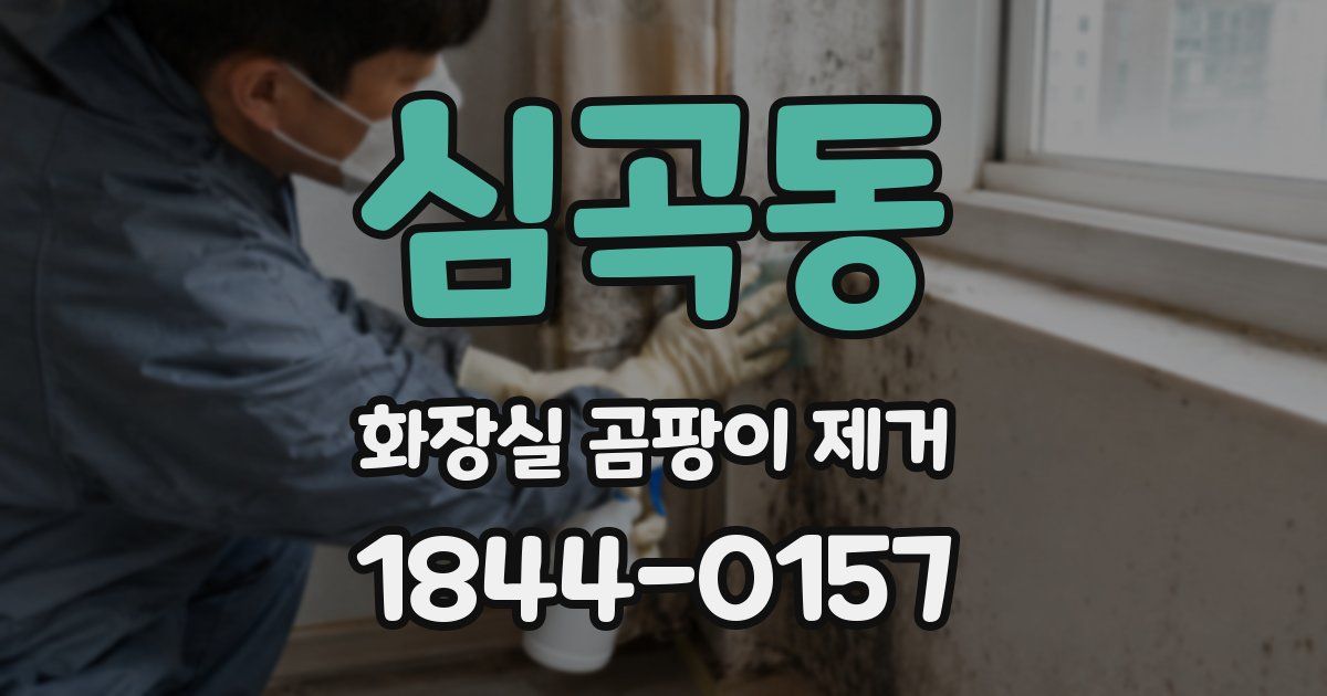심곡동 화장실 곰팡이 제거