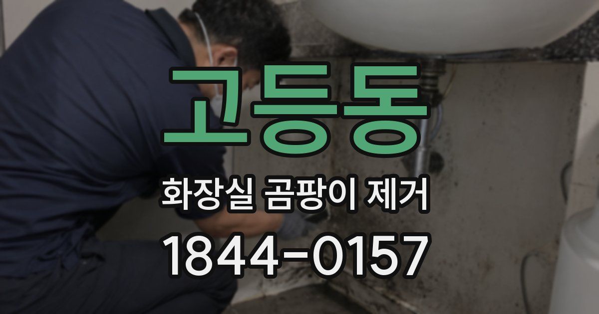 고등동 화장실 곰팡이 제거