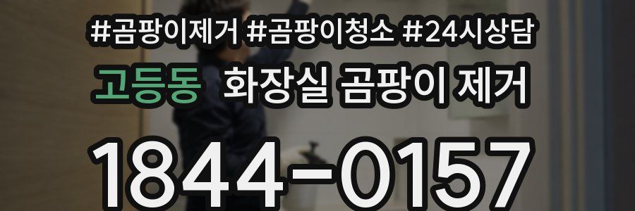 고등동 화장실 곰팡이 제거