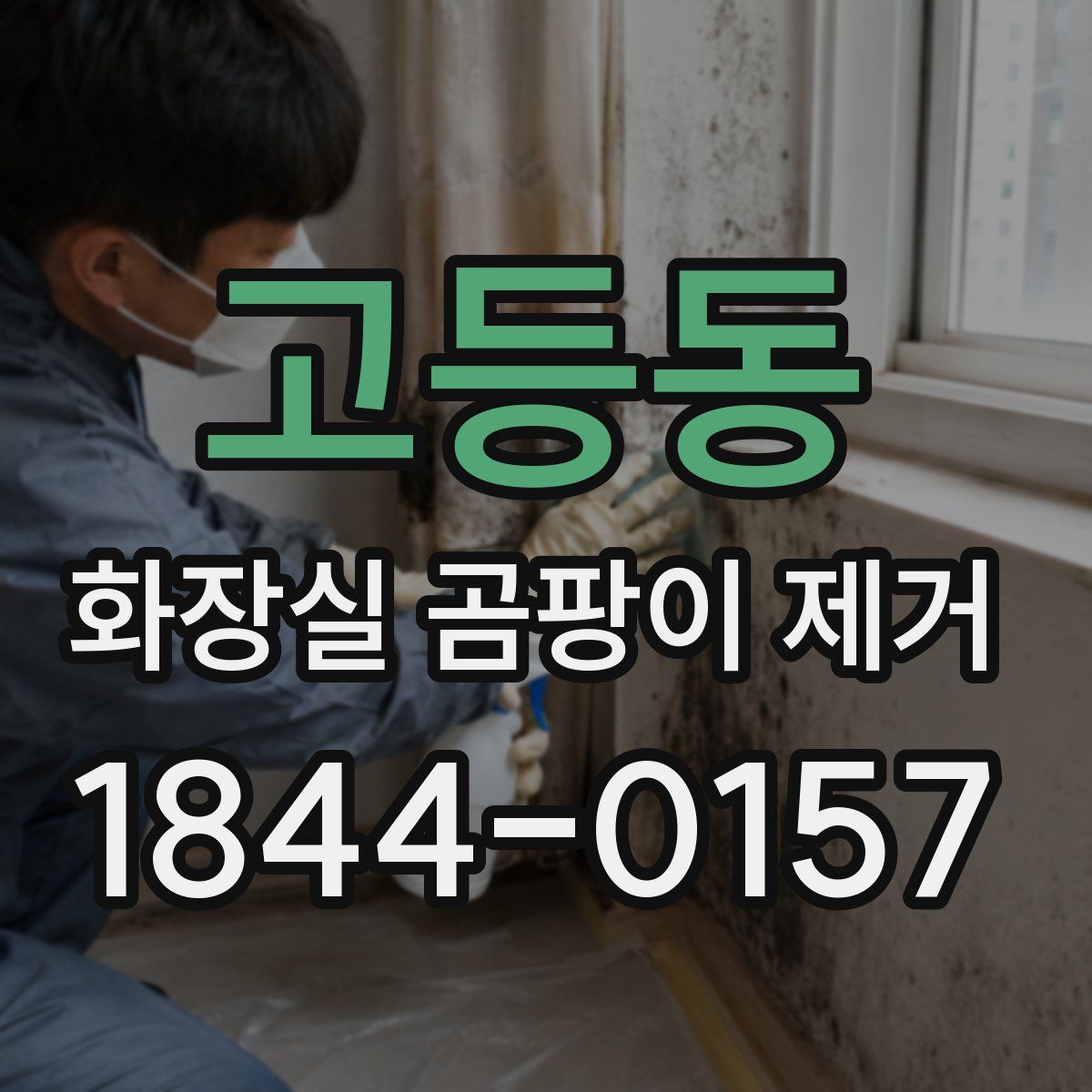 고등동 화장실 곰팡이 제거
