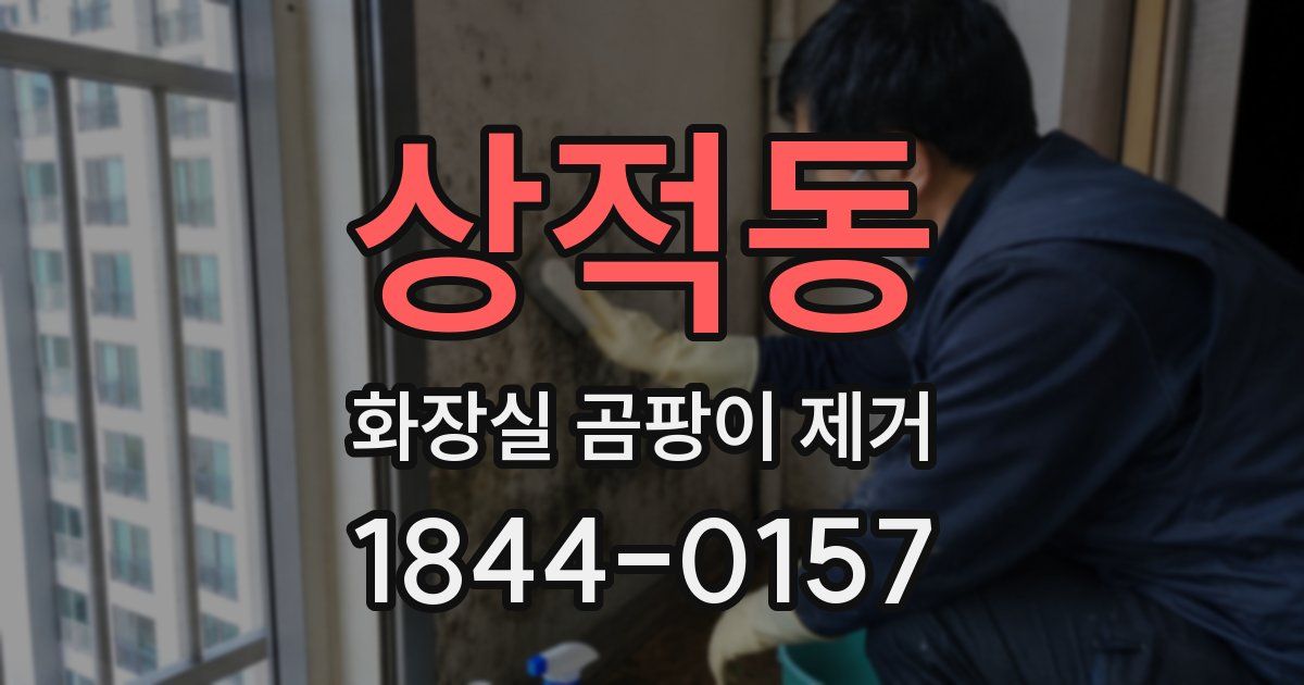 상적동 화장실 곰팡이 제거