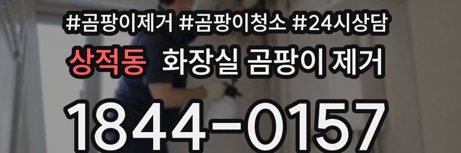 상적동 화장실 곰팡이 제거