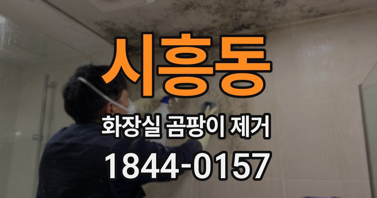 시흥동 화장실 곰팡이 제거