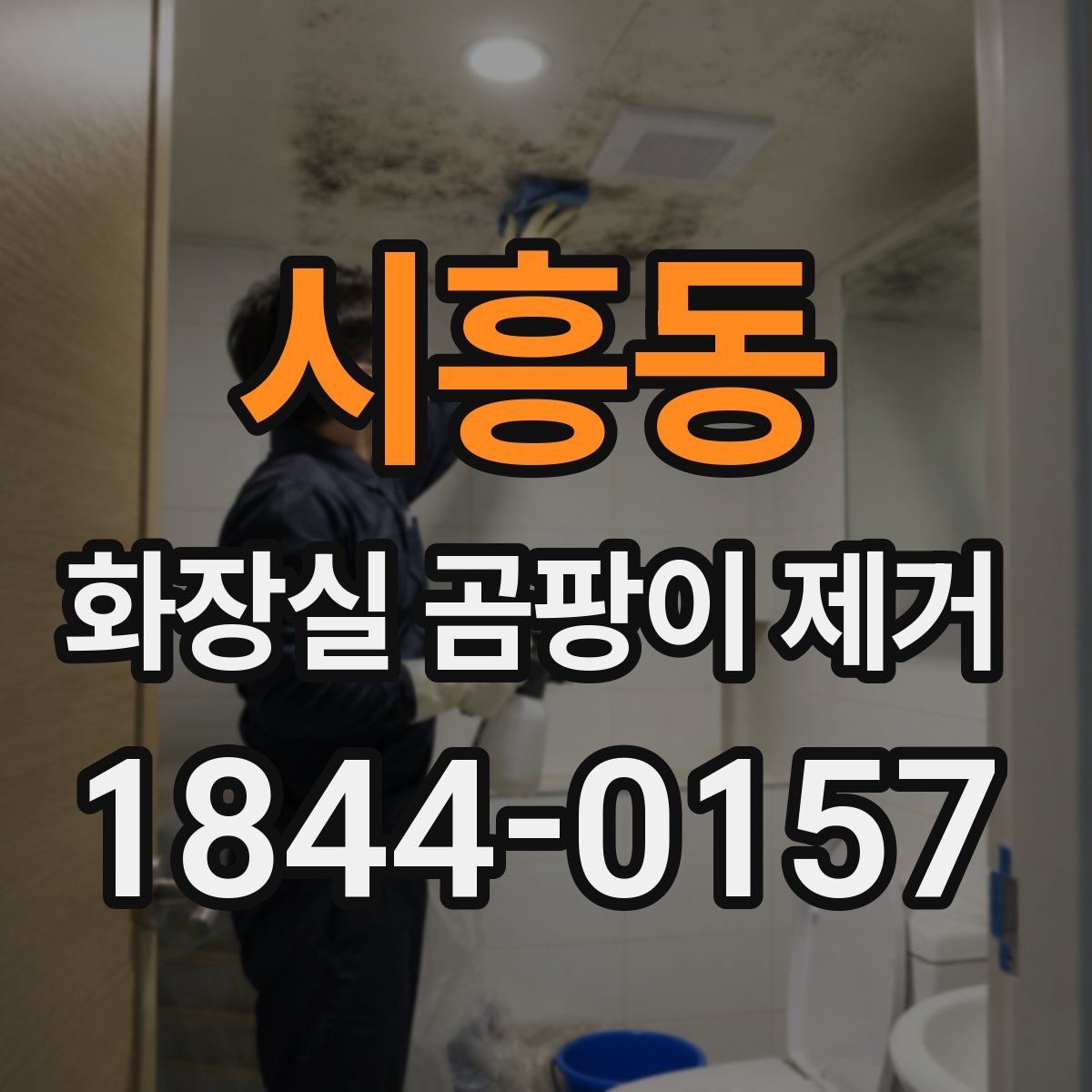 시흥동 화장실 곰팡이 제거
