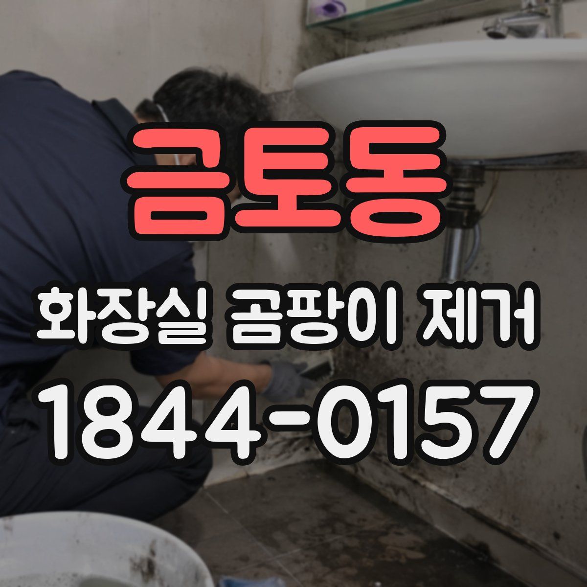 금토동 화장실 곰팡이 제거