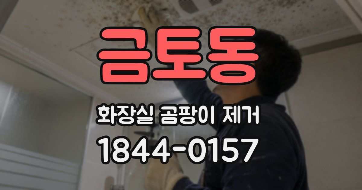 금토동 화장실 곰팡이 제거