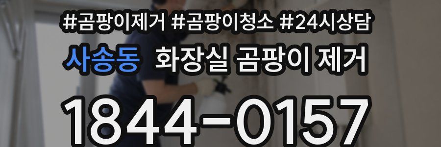 사송동 화장실 곰팡이 제거