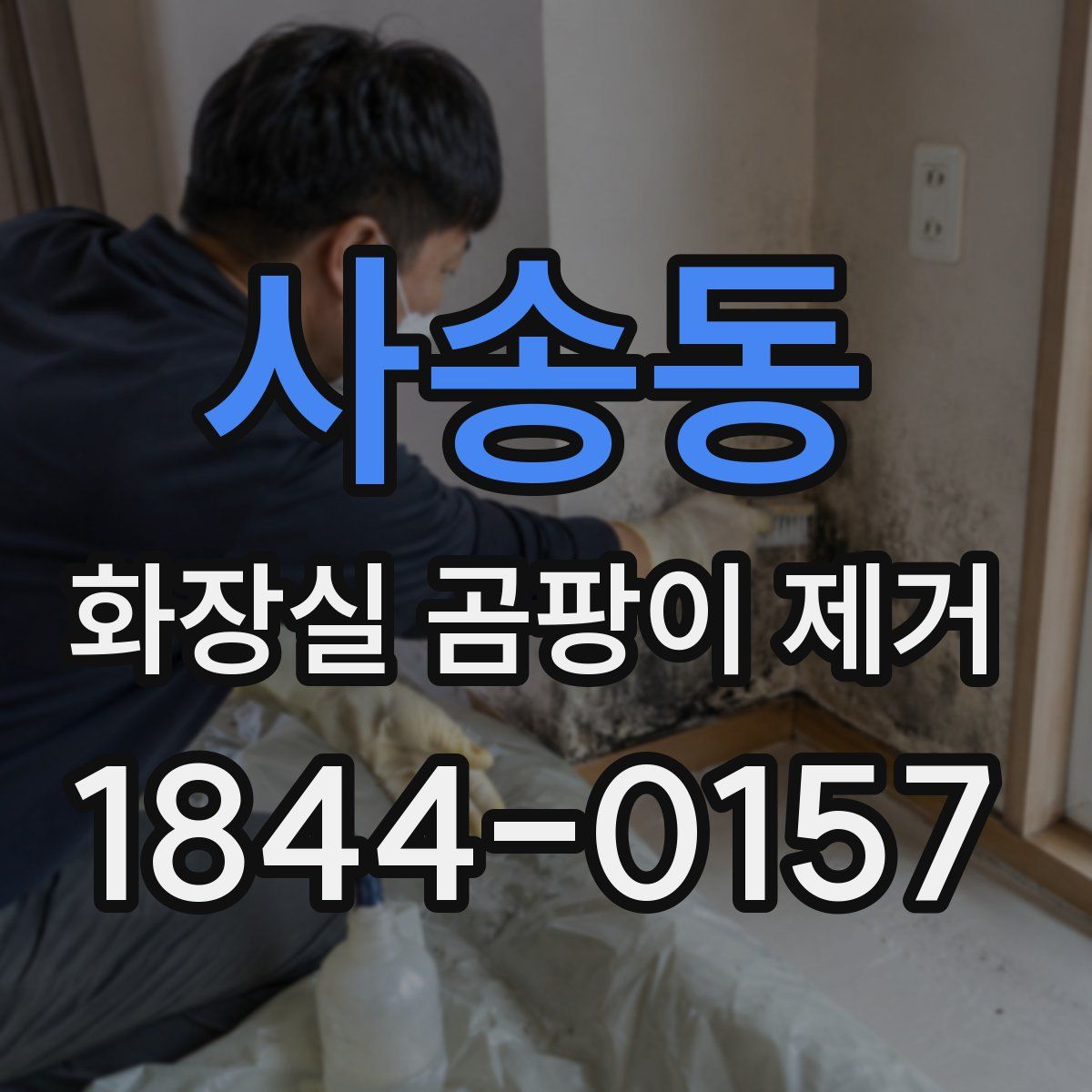 사송동 화장실 곰팡이 제거