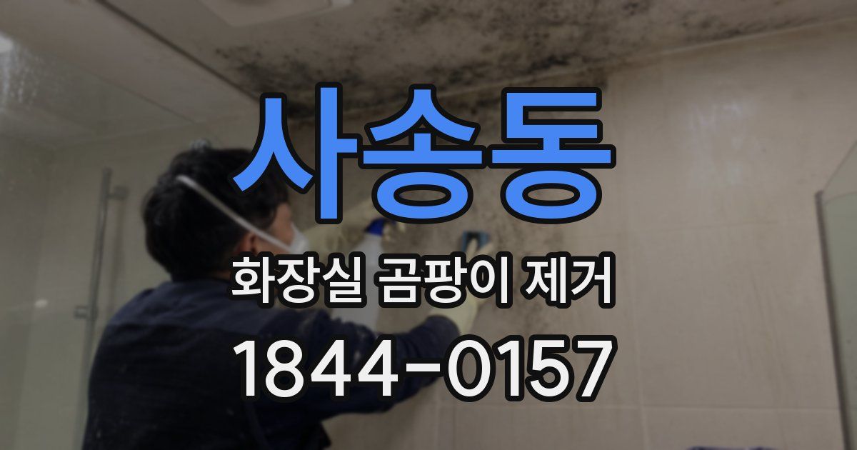 사송동 화장실 곰팡이 제거