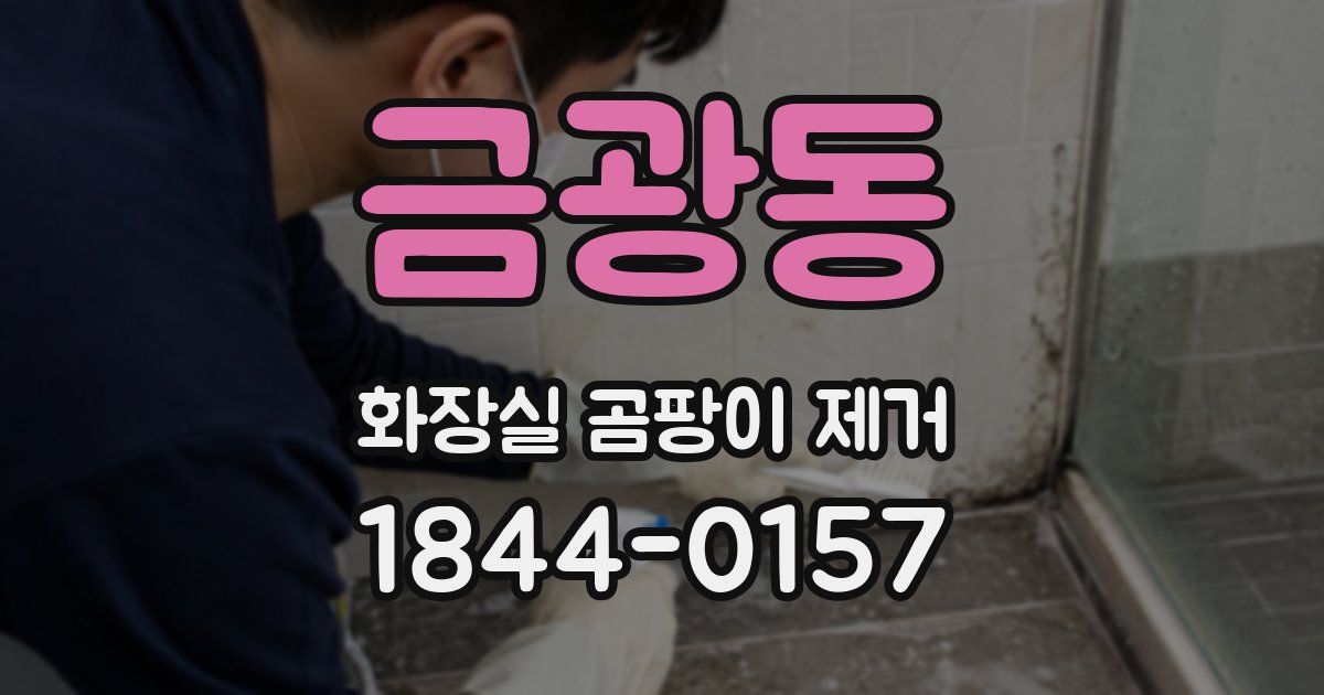 금광동 화장실 곰팡이 제거