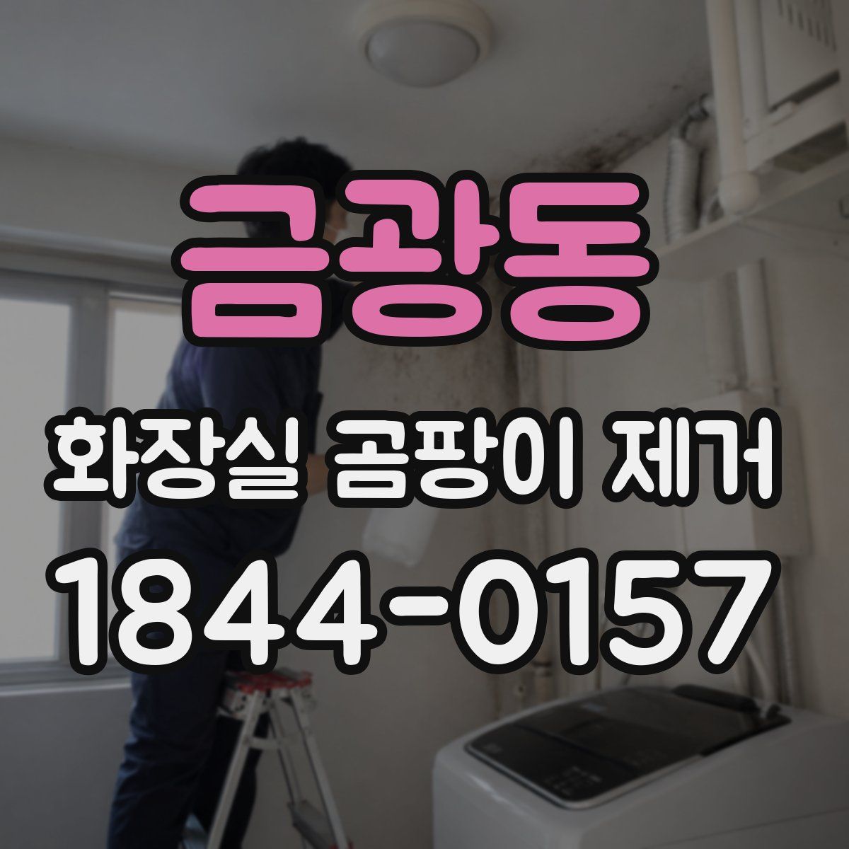 금광동 화장실 곰팡이 제거
