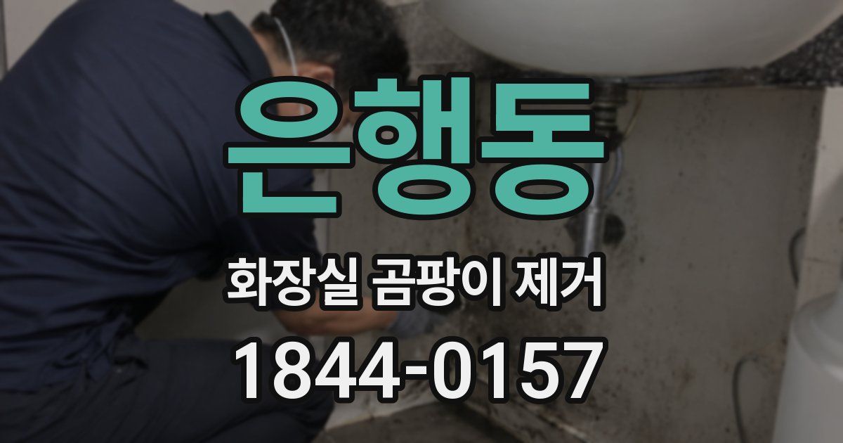 은행동 화장실 곰팡이 제거