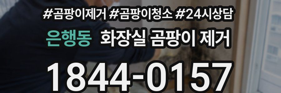 은행동 화장실 곰팡이 제거
