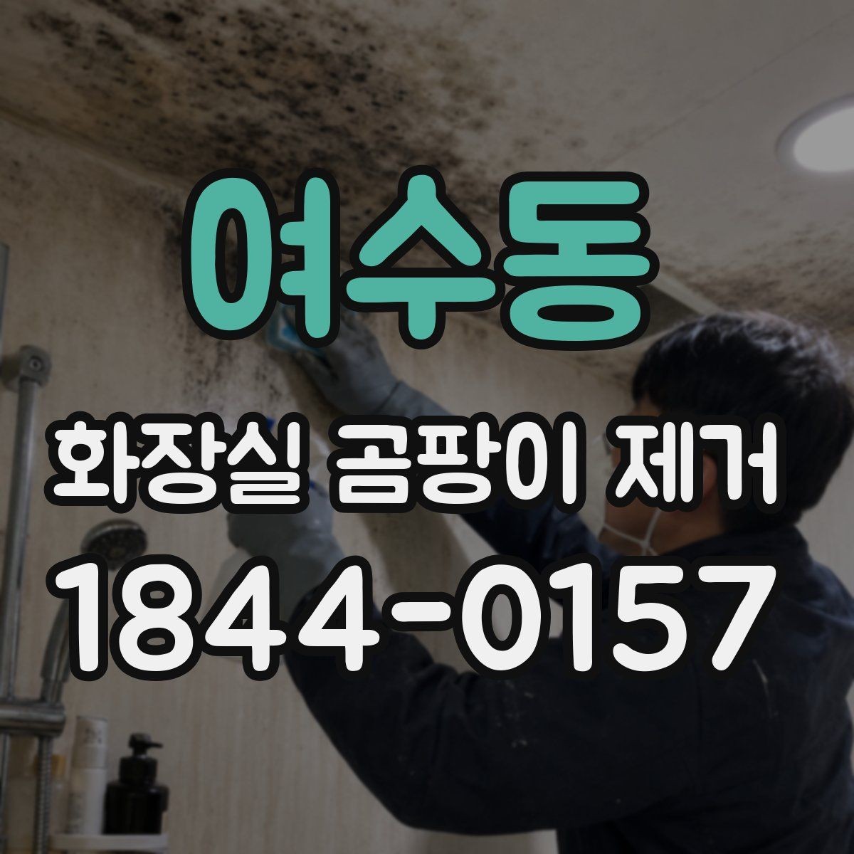 여수동 화장실 곰팡이 제거 시작 전에 확인할 준비물 체크리스트