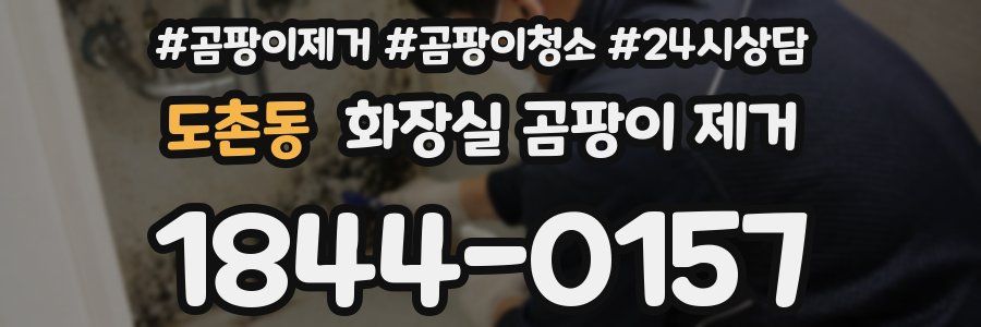 도촌동 화장실 곰팡이 제거