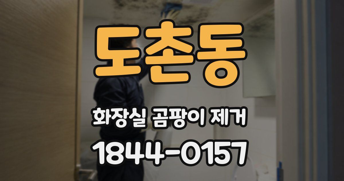 도촌동 화장실 곰팡이 제거