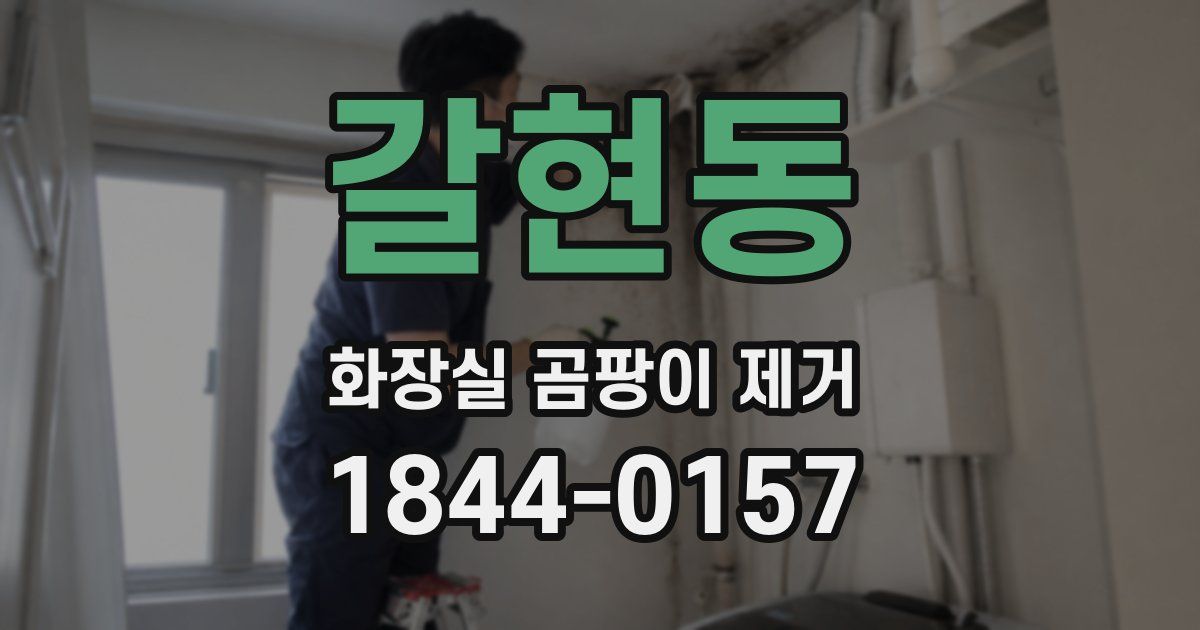 갈현동 화장실 곰팡이 제거