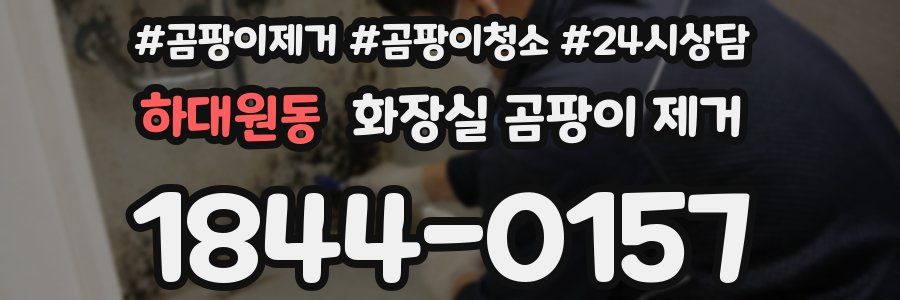하대원동 화장실 곰팡이 제거