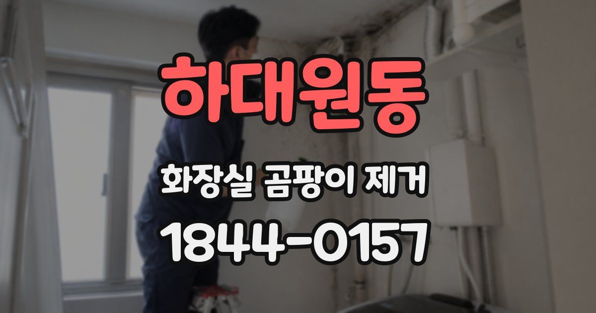 하대원동 화장실 곰팡이 제거
