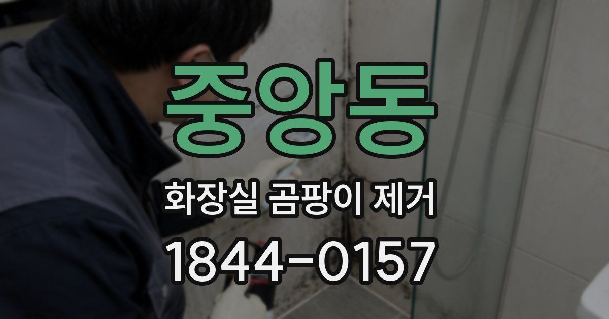 중앙동 화장실 곰팡이 제거