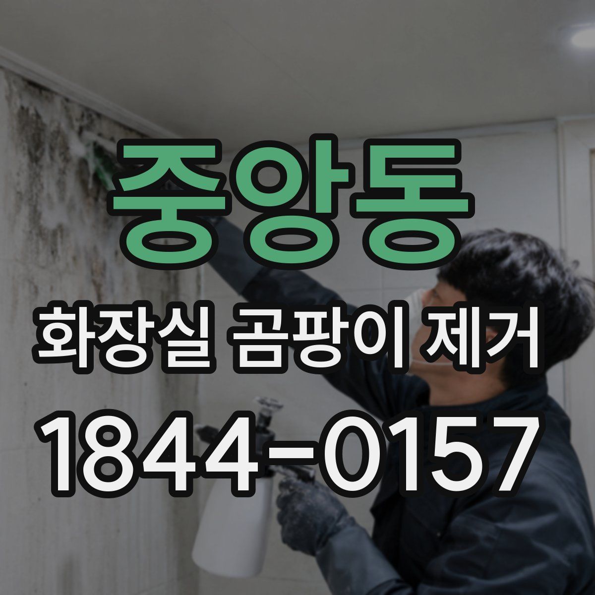 중앙동 화장실 곰팡이 제거