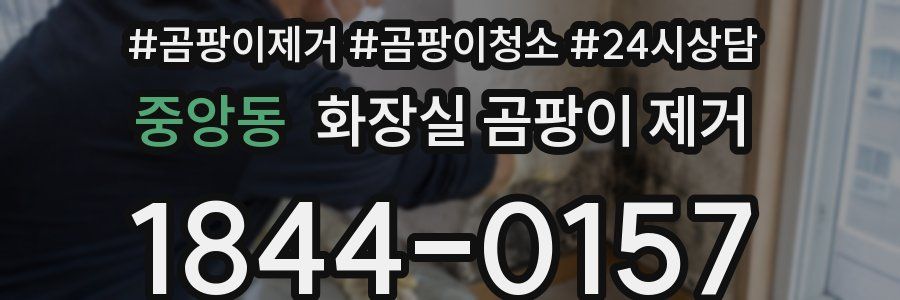 중앙동 화장실 곰팡이 제거