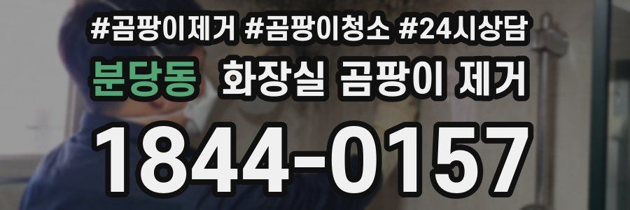 분당동 화장실 곰팡이 제거