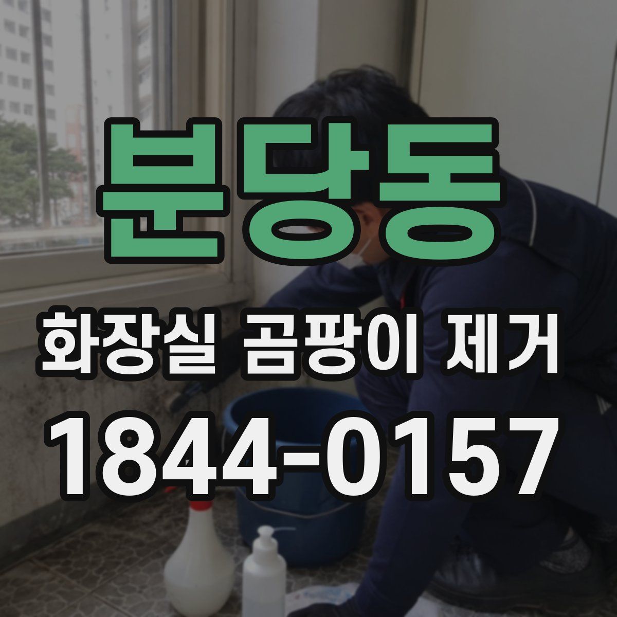 분당동 화장실 곰팡이 제거