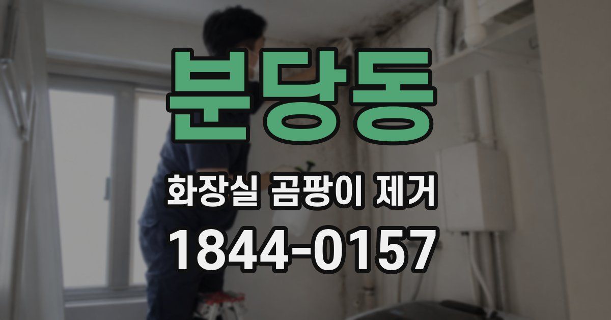 분당동 화장실 곰팡이 제거