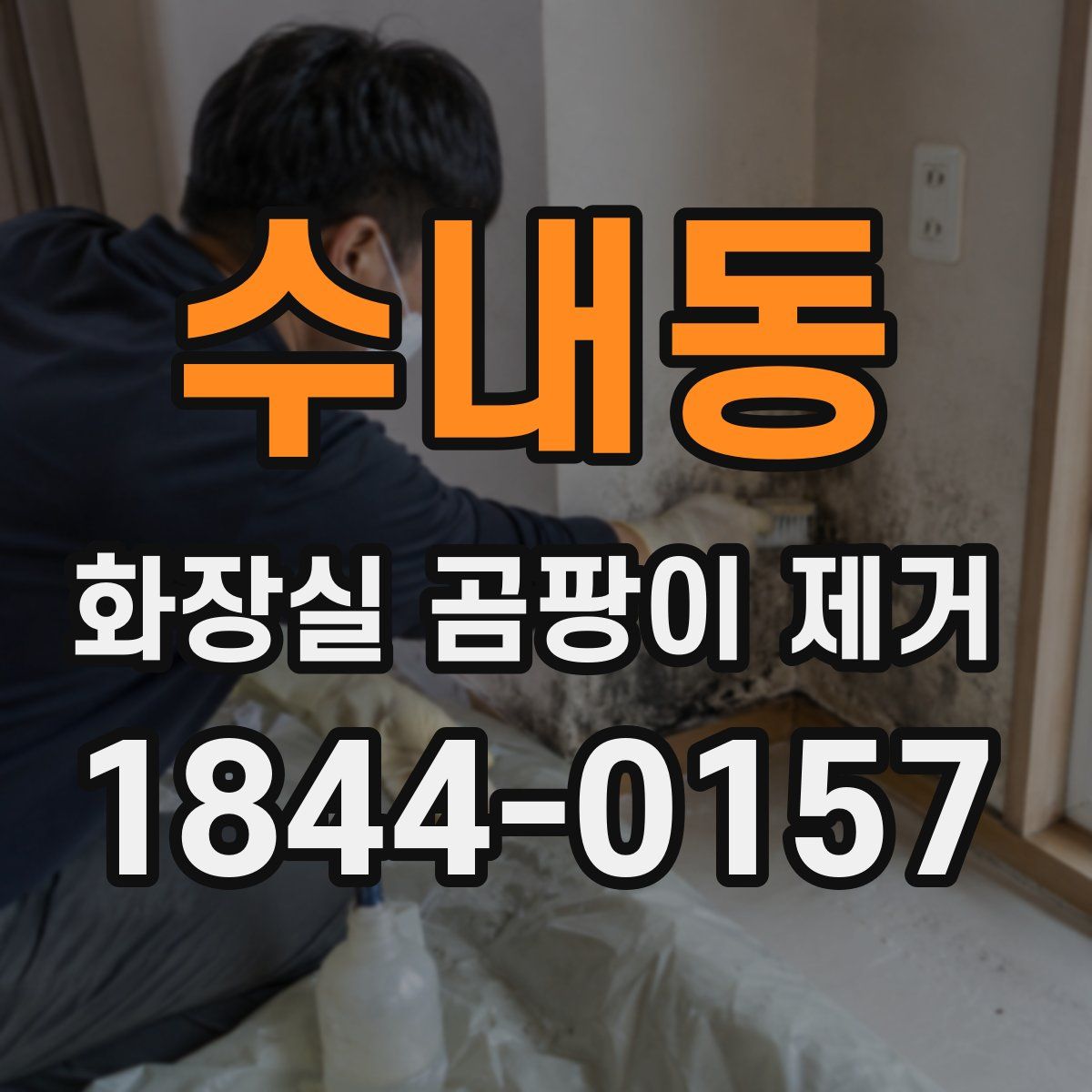 수내동 화장실 곰팡이 제거