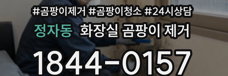 정자동 화장실 곰팡이 제거