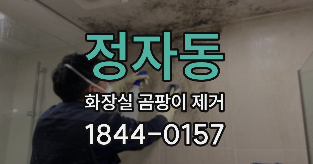 정자동 화장실 곰팡이 제거
