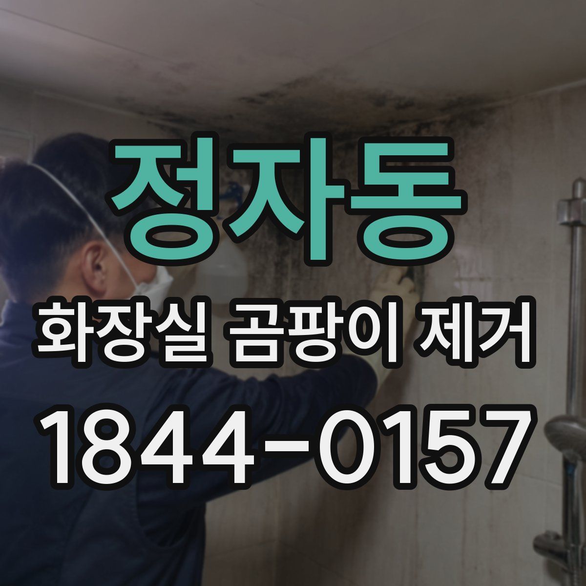정자동 화장실 곰팡이 제거